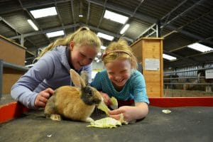 Walby-Farm-Park-7-300x200-1 Welcome back