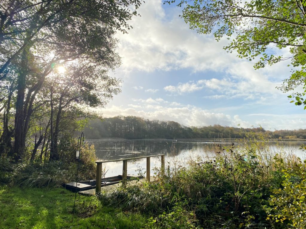 Nature is your Mindfulness Guide