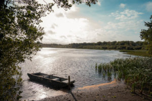 Buzzard Lodge Picture Gallery | The Tranquil Otter