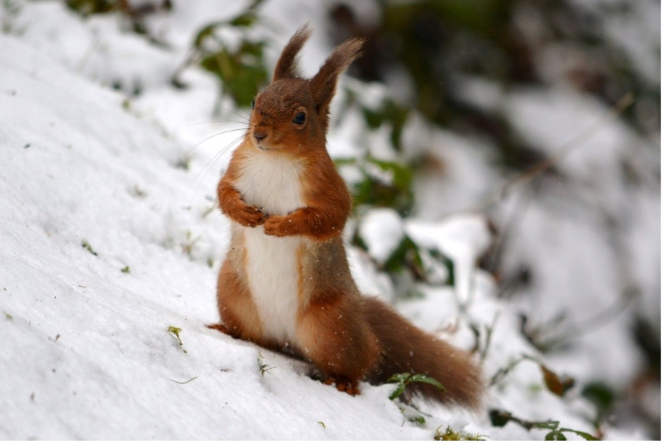 Picture-1 Choose Cumbria for your Lake District Luxury Christmas Break