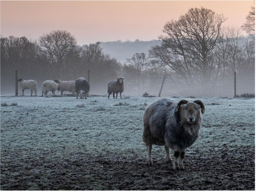 Choose Cumbria for your Lake District Luxury Christmas Break | The Tranquil Otter