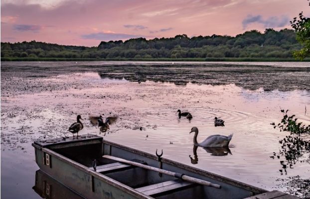 Get ready for Spring and explore nature at The Tranquil Otter with our NEW Sightings Log!