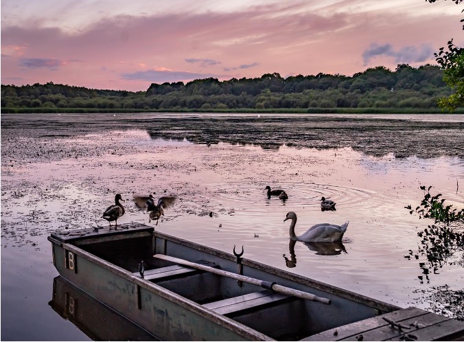 Get ready for Spring and explore nature at The Tranquil Otter with our NEW Sightings Log!