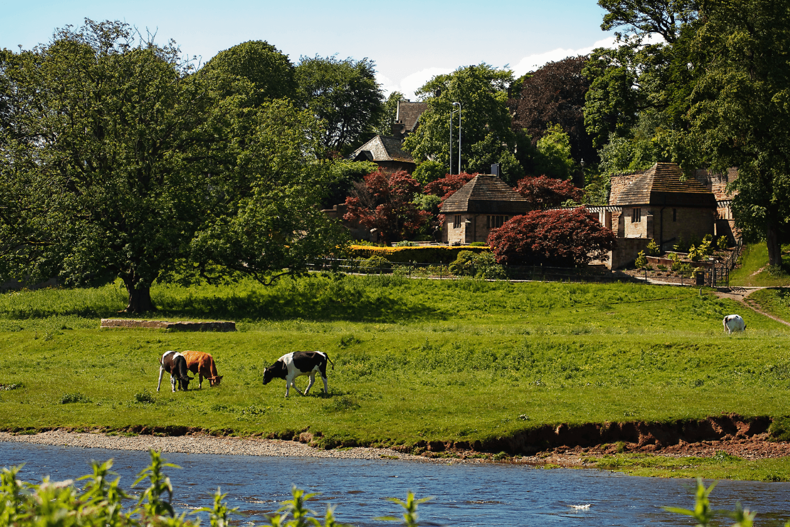 Blog-image-1920-x-1280 Our Favourite Walks Near Carlisle
