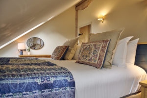 TranquilOtter_Oct2025_69-300x200 Kingfisher Lodge Picture Gallery