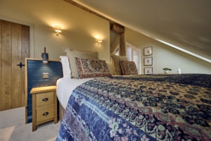 TranquilOtter_Oct2025_80-300x200 Kingfisher Lodge Picture Gallery